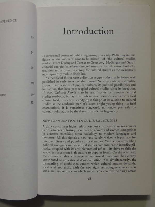 Cultural Remix: Theories Of Politics And The Popular - ed Erica Carter, James Donald, Judith Squires
