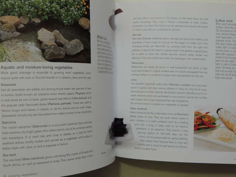 Vegetable Gardening: Growing And Harvesting Vegetables