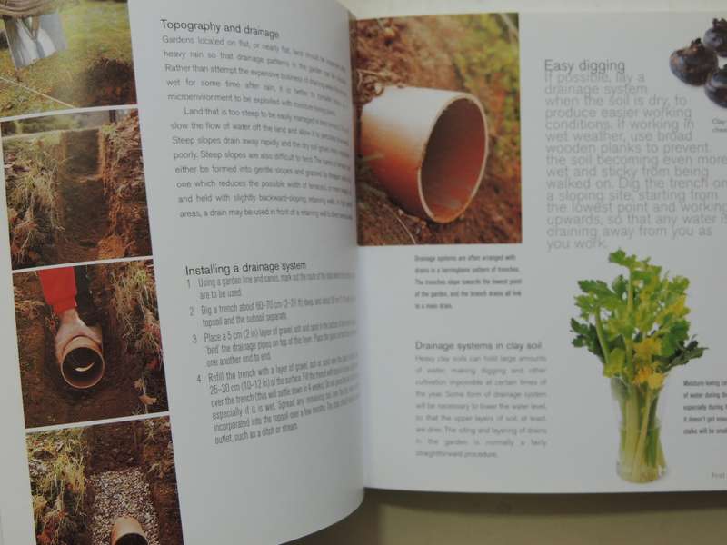 Vegetable Gardening: Growing And Harvesting Vegetables