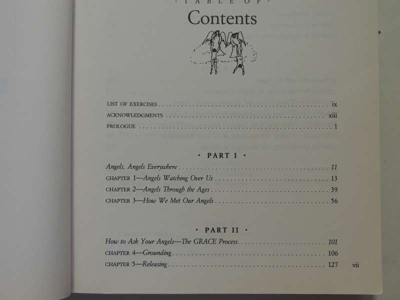 Ask Your Angels, A Practical Guide to Working with Your Angels to Enrich your Life - Alma Daniel