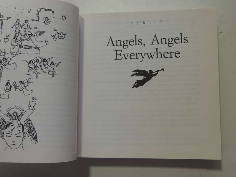 Ask Your Angels, A Practical Guide to Working with Your Angels to Enrich your Life - Alma Daniel