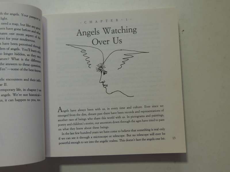 Ask Your Angels, A Practical Guide to Working with Your Angels to Enrich your Life - Alma Daniel