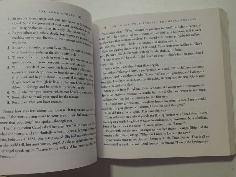 Ask Your Angels, A Practical Guide to Working with Your Angels to Enrich your Life - Alma Daniel