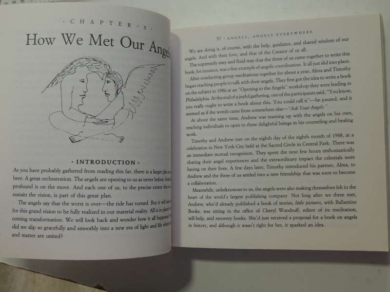 Ask Your Angels, A Practical Guide to Working with Your Angels to Enrich your Life - Alma Daniel