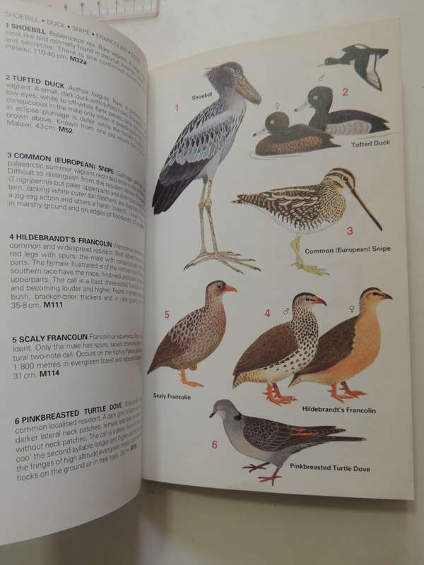 Birds of Malawi, A Supplement to Newman's Birds of Southern Africa - Kenneth Newman, N J-Stewart, BM