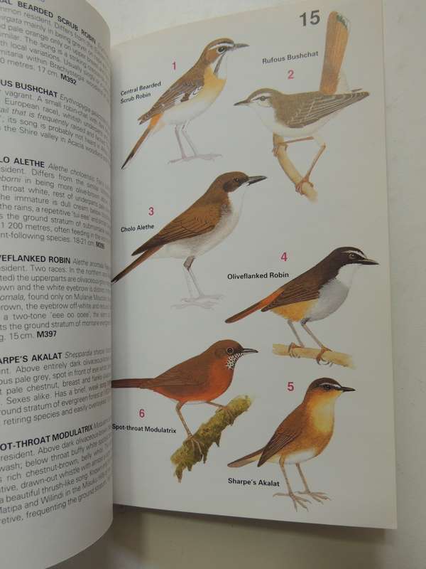 Birds of Malawi, A Supplement to Newman's Birds of Southern Africa - Kenneth Newman, N J-Stewart, BM