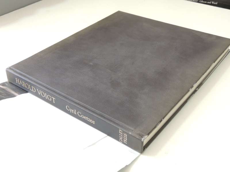 The Poetry of SightHarold Voigt  - SIGNED & INSCRIBED BY Author  ART/ PAINTING