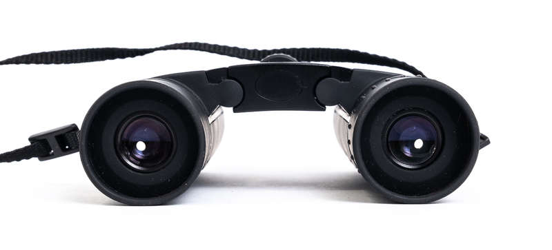 Nikon Aculon A30 10x25 Binoculars
