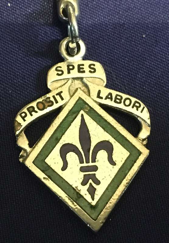 Boy Scouts key ring. Vintage