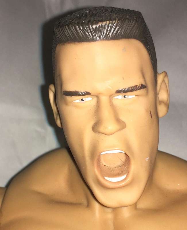WWE 2005 John Cena 36cm poseable action figurine