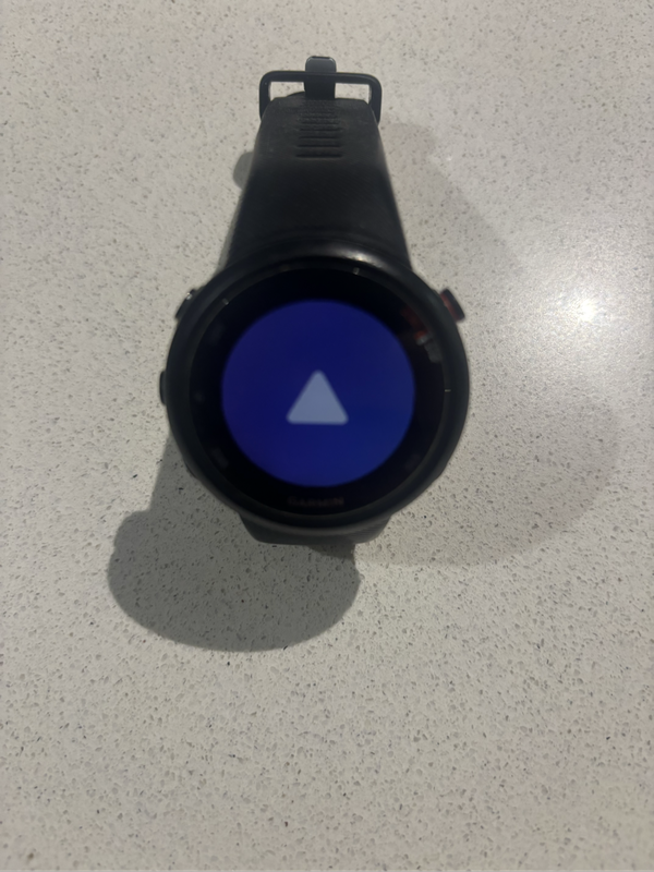 Garmin Forerunner 45