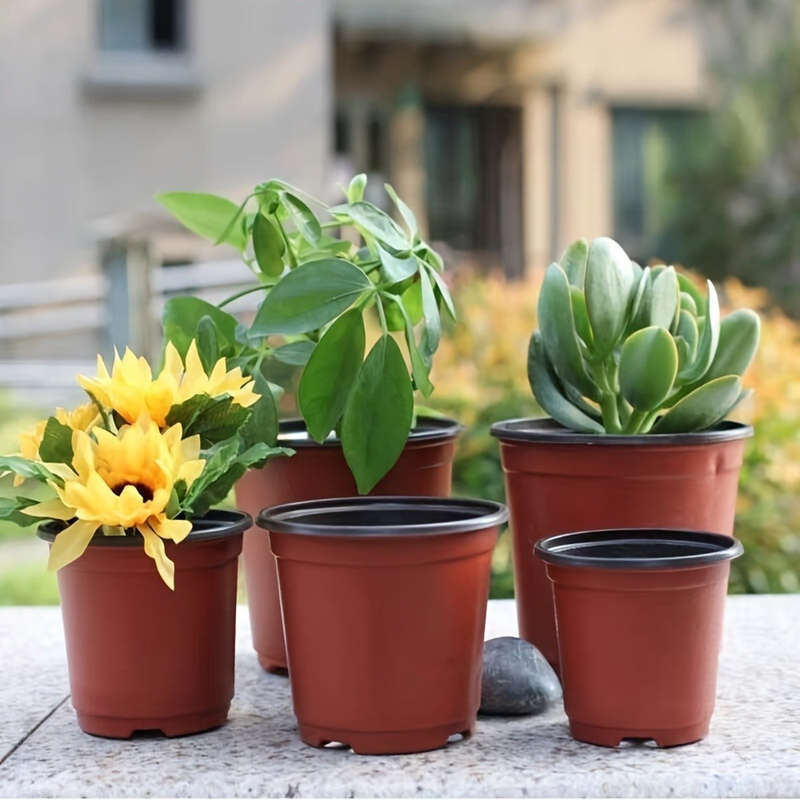 10-Pack Seedling Pots