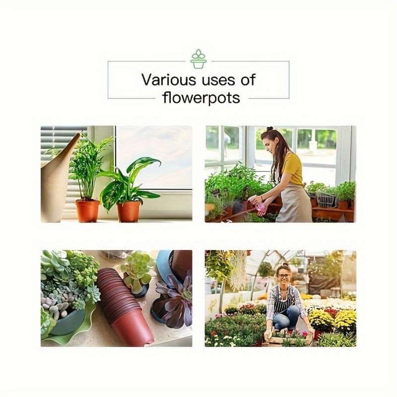 10-Pack Seedling Pots