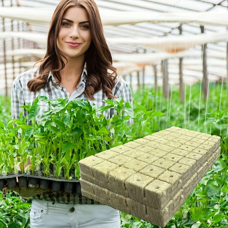50 Soilless Cultivation Substrate Plant Propagation Seedling Blocks