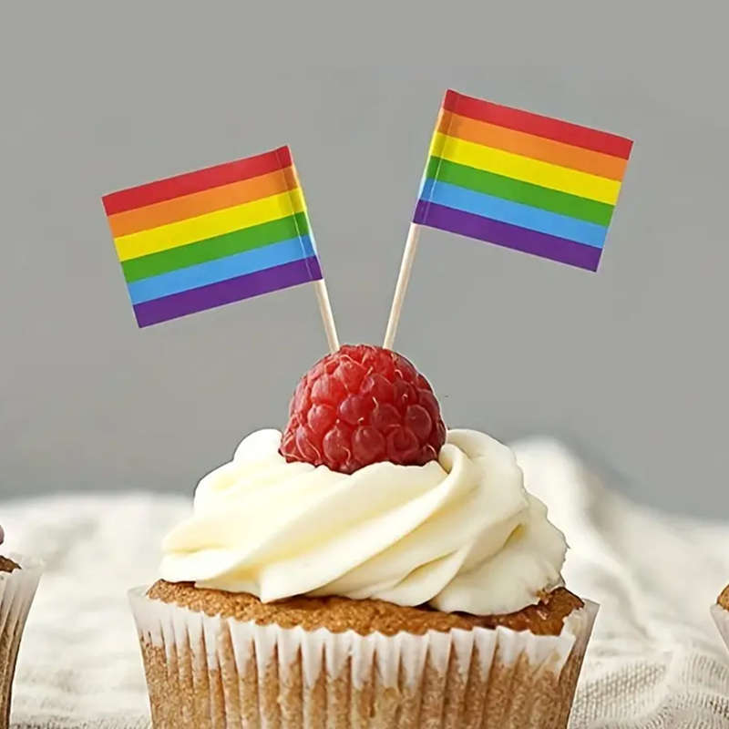 12pcs Rainbow Flag Wooden Skewers