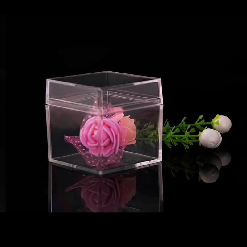 Premium Transparent Square Plastic Storage Box