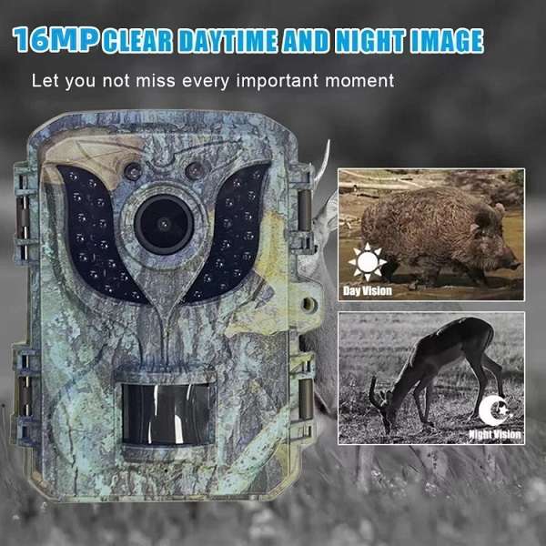 Trail Camera 1080P Hd Night Vision Motion Sensor Wildlife Camera