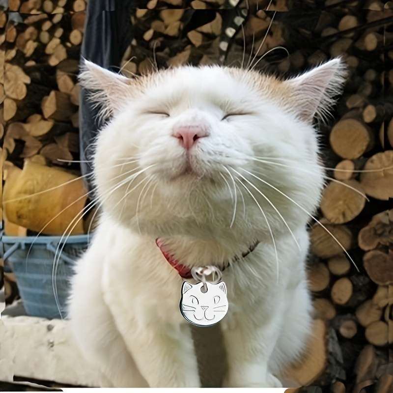 Key Pendant