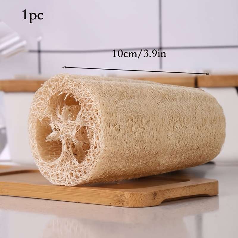 Cleaning Brush