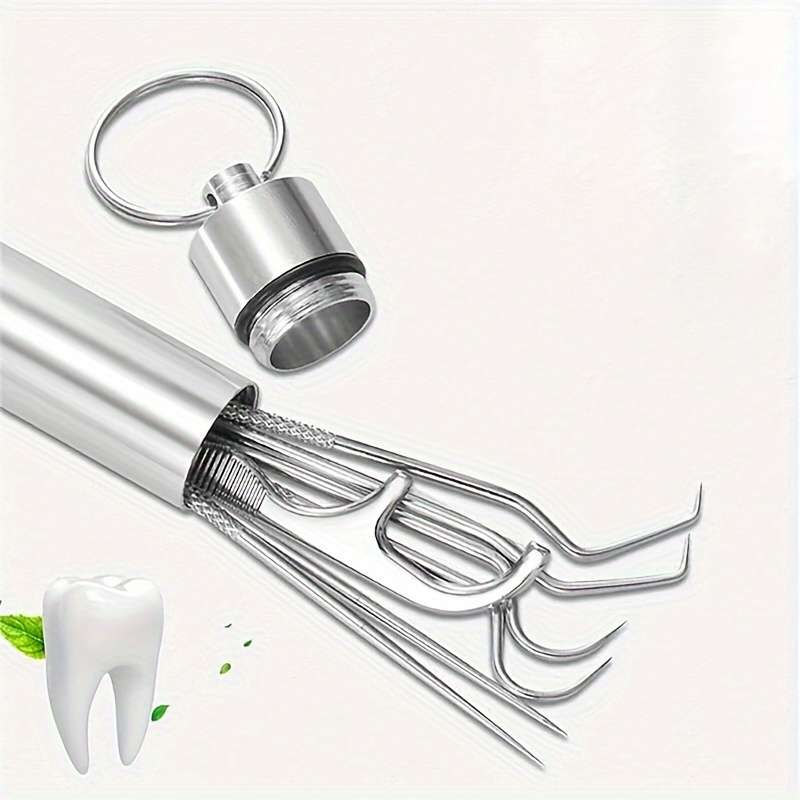 Stainless Steel Toothpick Set