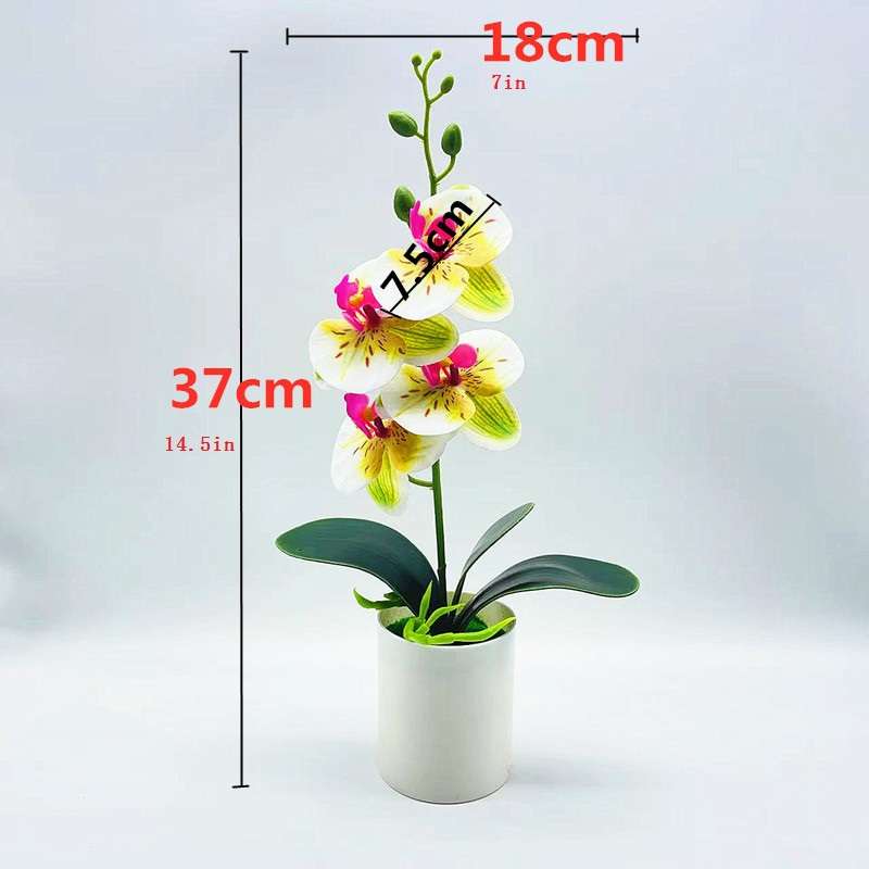 1pc Real Touch Fake Phalaenopsis Orchids with Vase