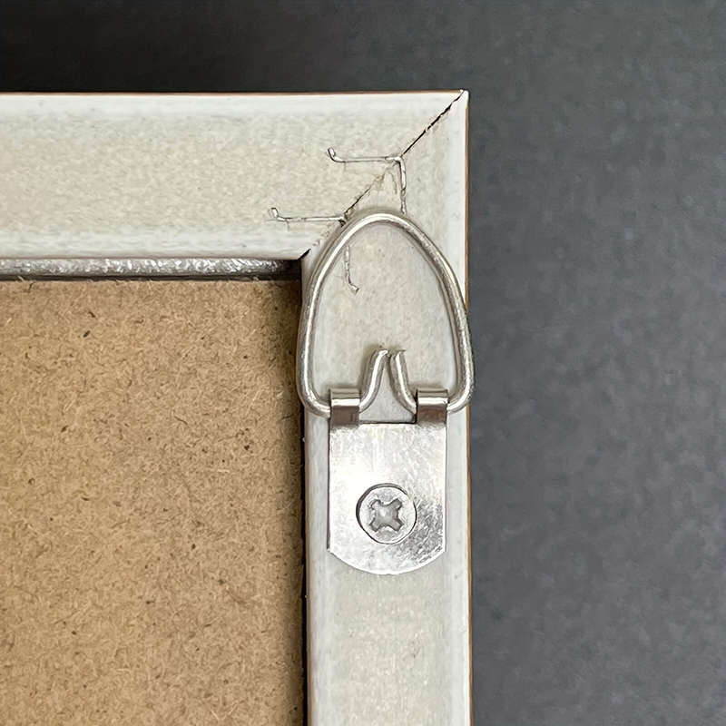 Metal D-Ring Picture Hangers with Screws