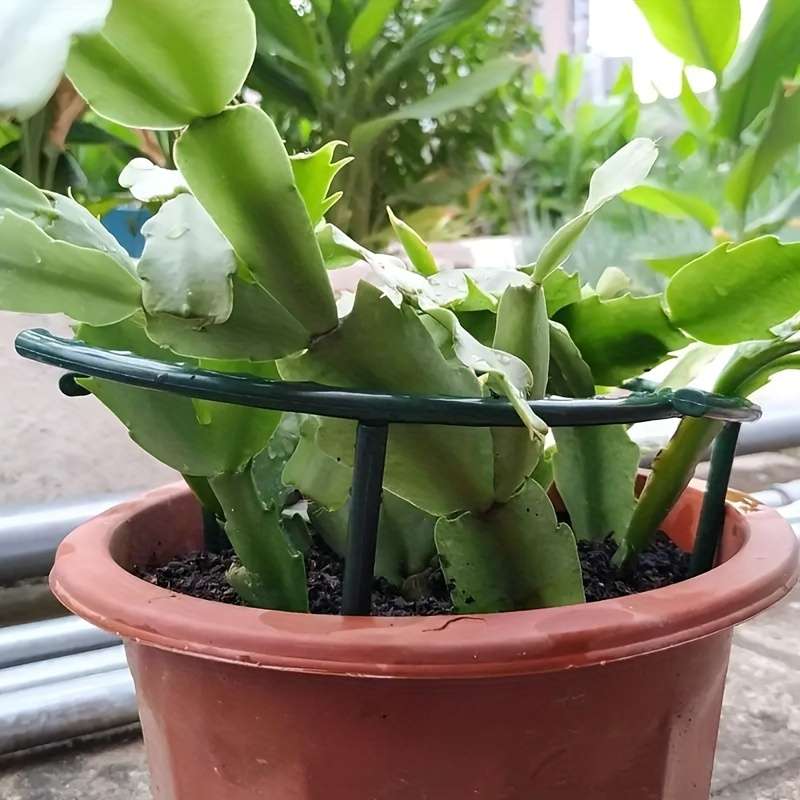 4pcs 24.99cm Durable Plastic Plant Support Stakes