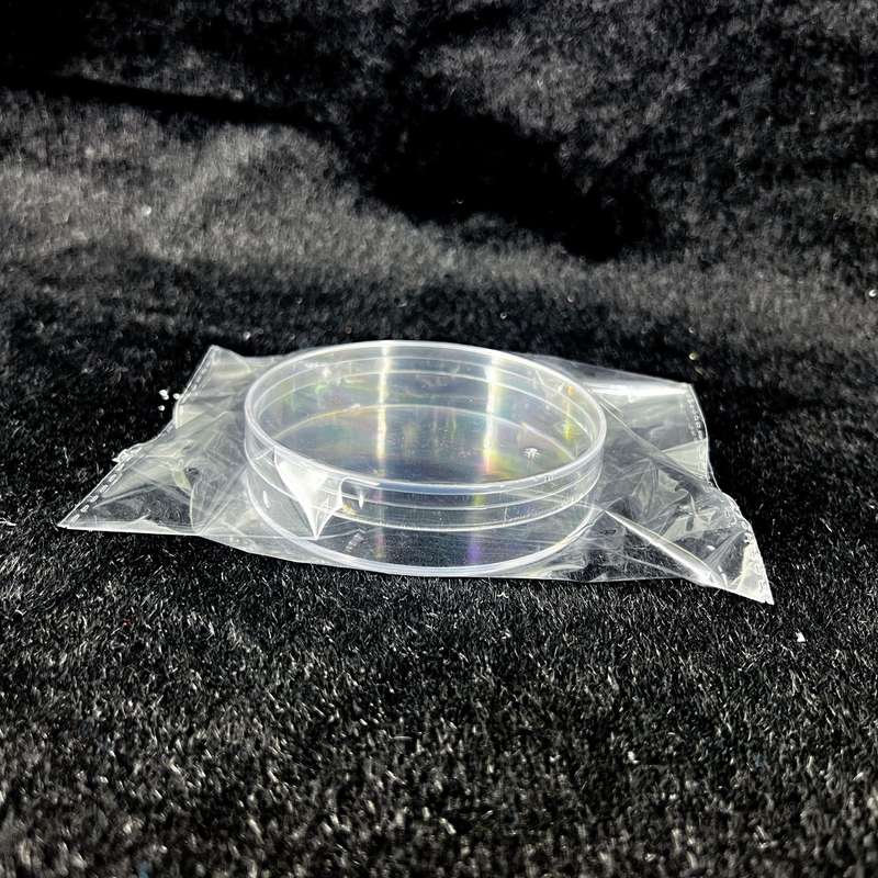 Transparent Plastic Storage Case