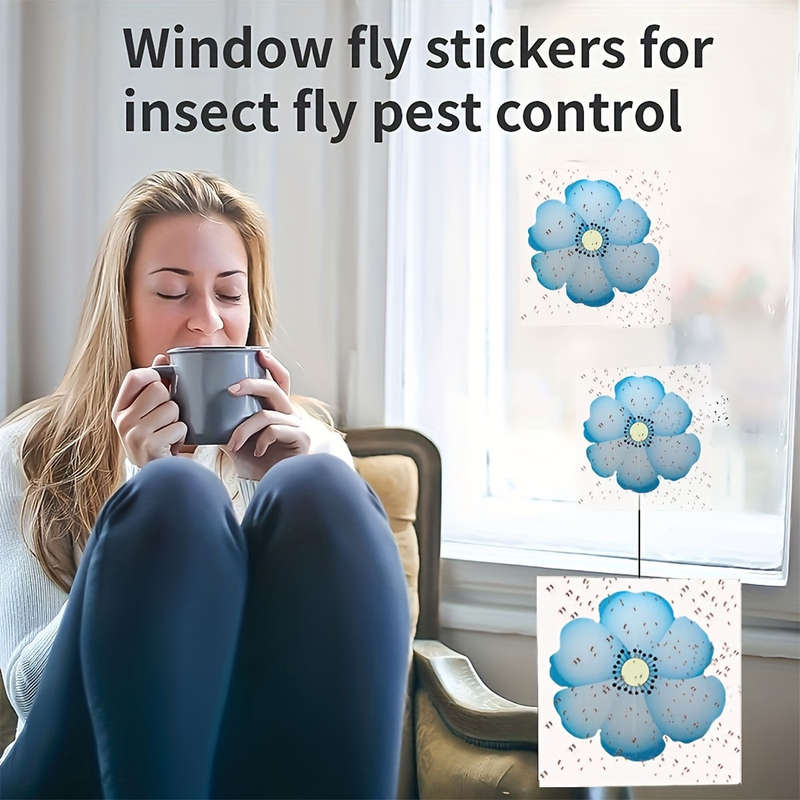 Indoor Clear Window Fly Traps