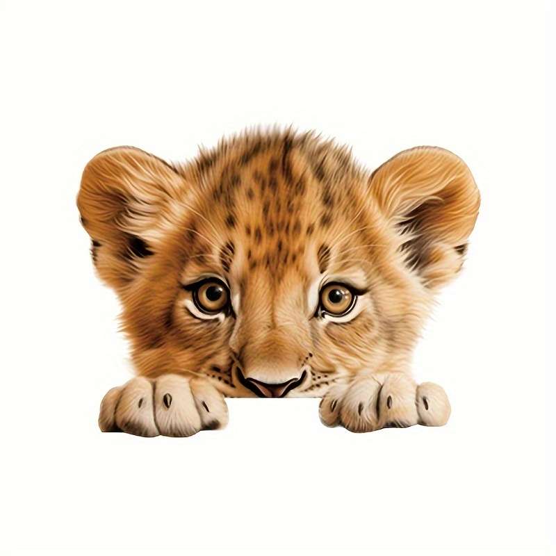Decal
