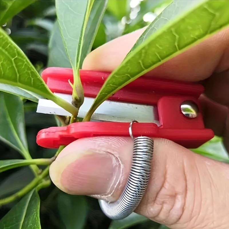 Red Thumb Knife