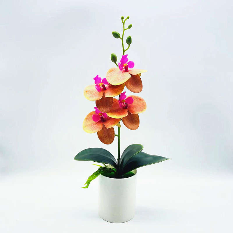 1pc Real Touch Fake Phalaenopsis Orchids with Vase