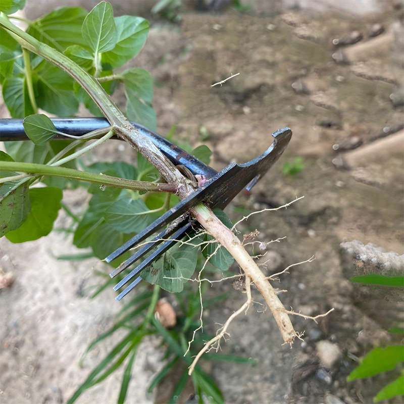 Durable Metal Weed Puller