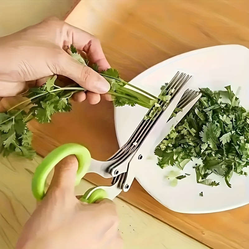 5-Layered Stainless Steel Kitchen Scissors