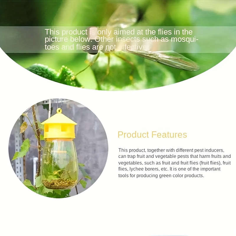 2pcs High-Quality Fruit Fly Traps - Non-Toxic