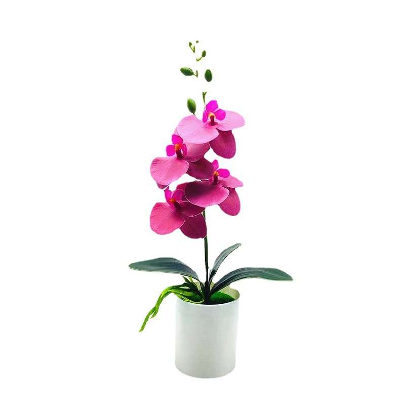 1pc Real Touch Fake Phalaenopsis Orchids with Vase