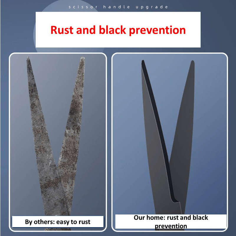 Versatile Black Blade Scissors