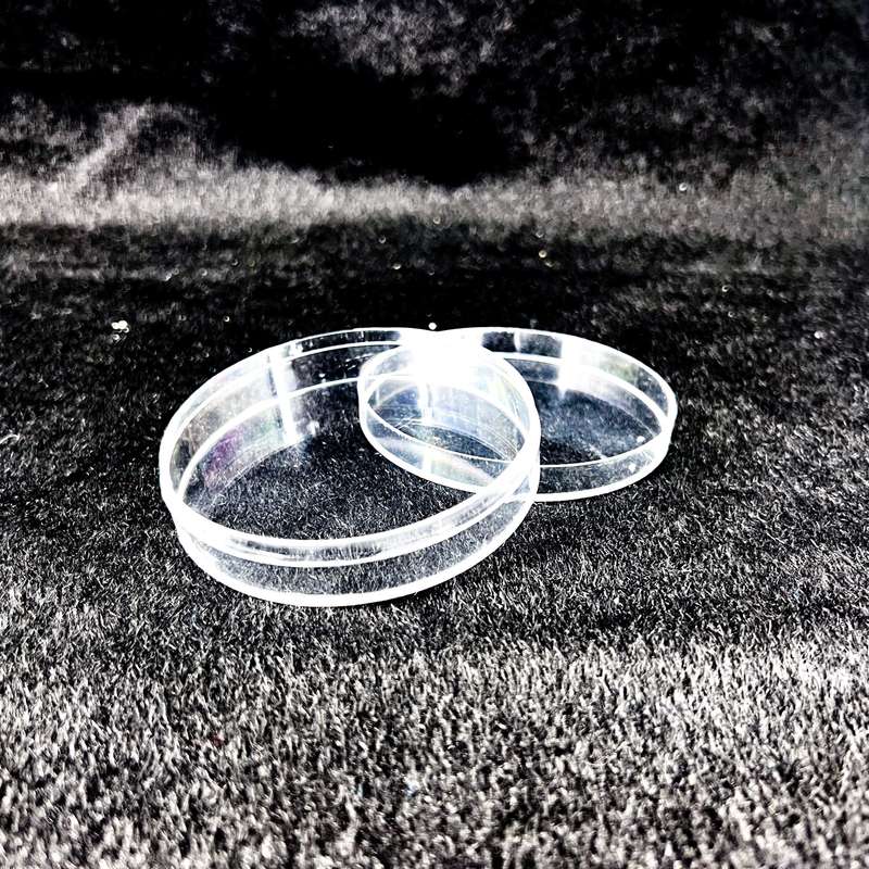 Transparent Plastic Storage Case