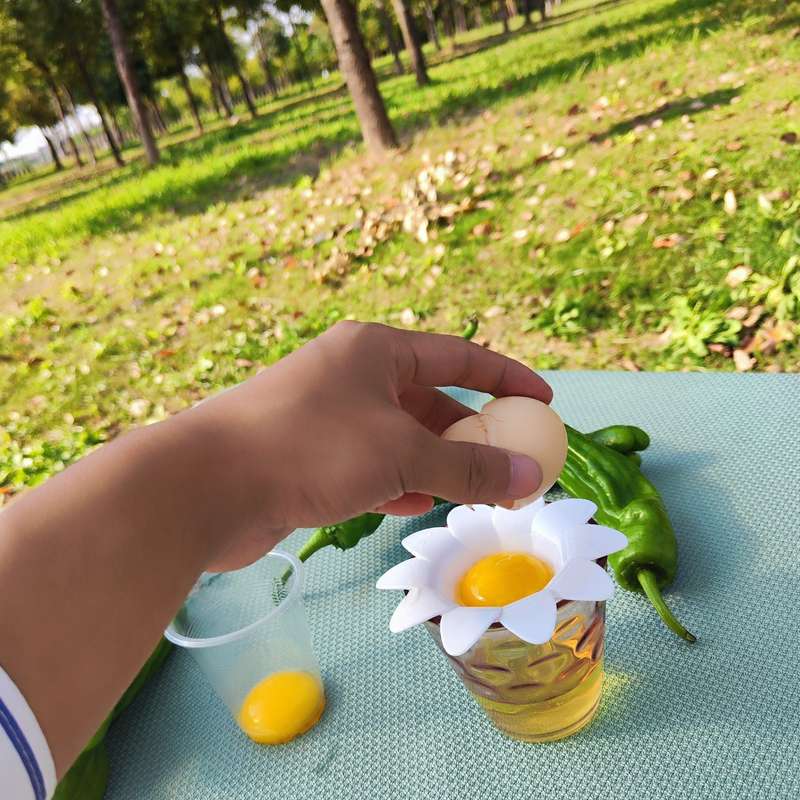 1pc Kitchen Egg Separator