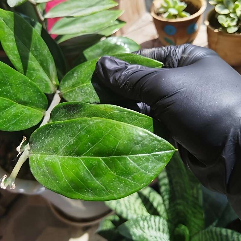 Multi-Purpose Black Disposable Gloves