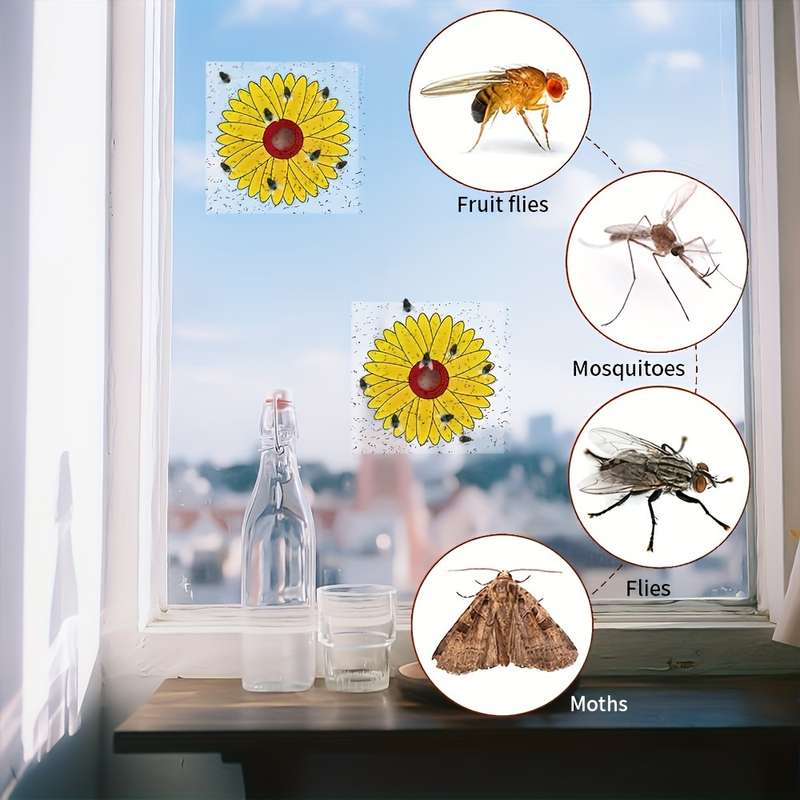 Indoor Clear Window Fly Traps