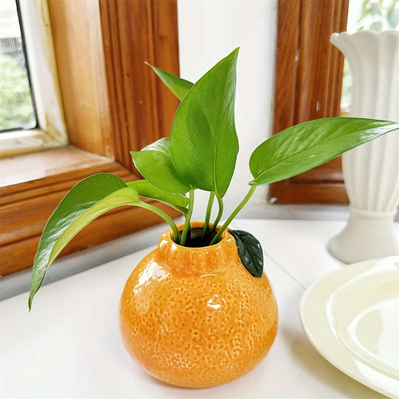 1pc Unique Orange Ceramic Vase for Hydroponics