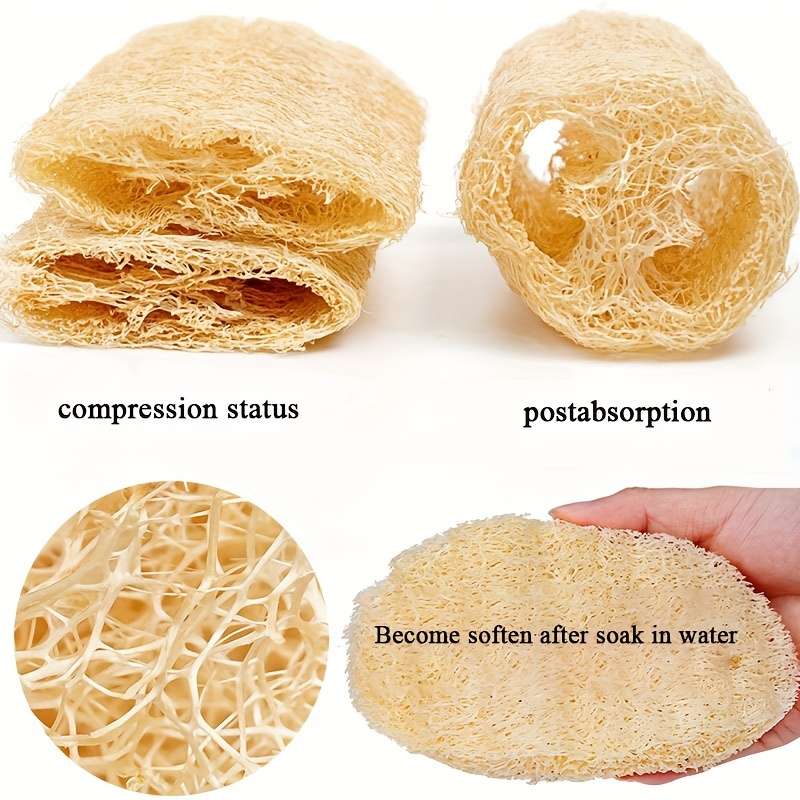 Cleaning Brush
