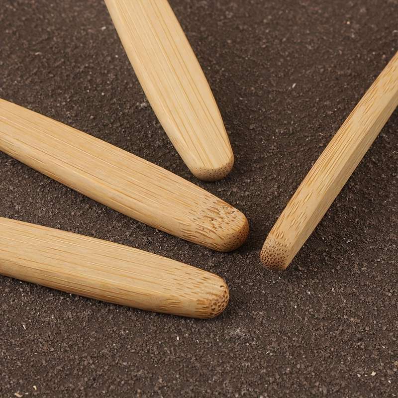 6pcs Bamboo Toothbrush