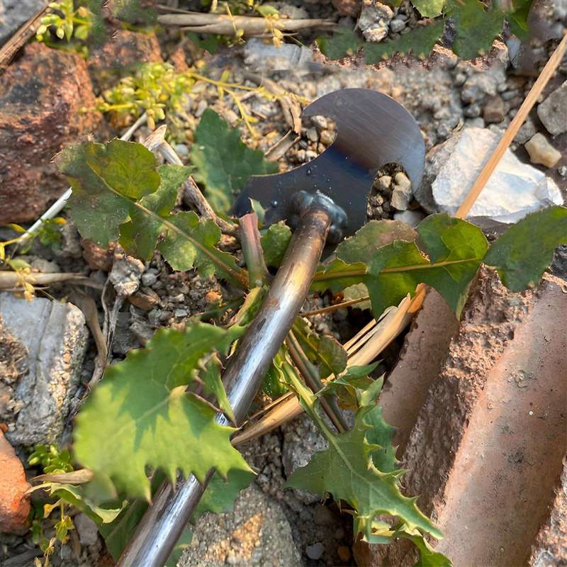Durable Metal Weed Puller