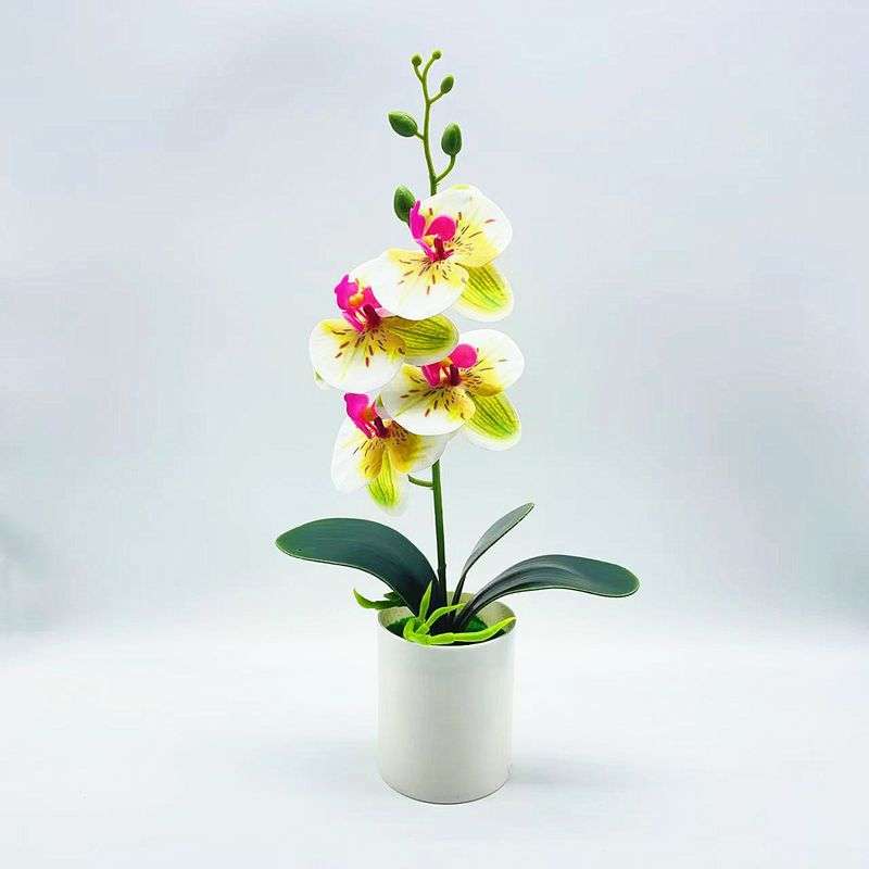 1pc Real Touch Fake Phalaenopsis Orchids with Vase