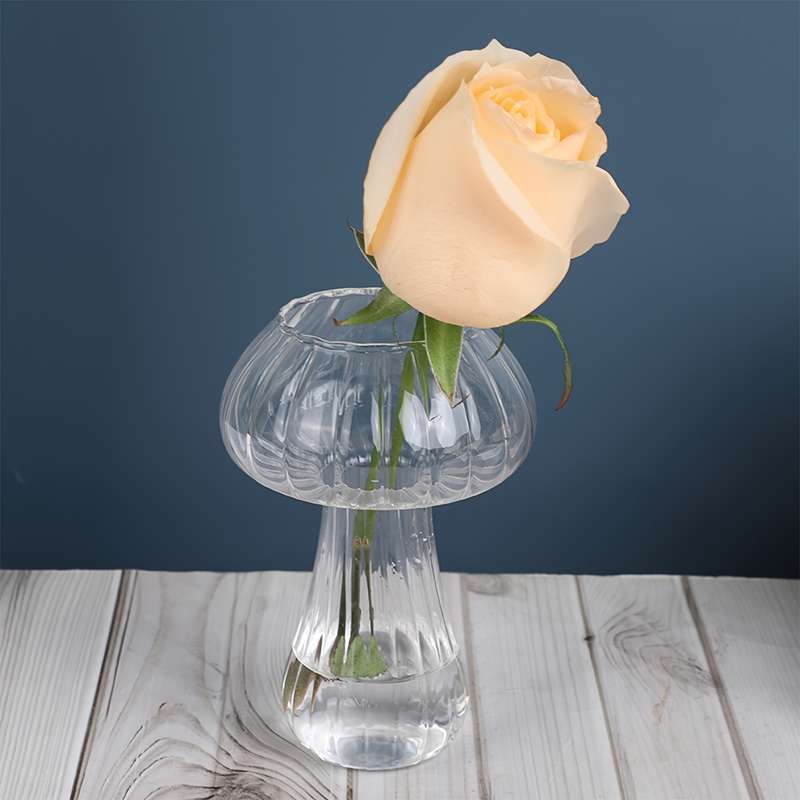 1pc Charming Mushroom-Shaped Glass Vase