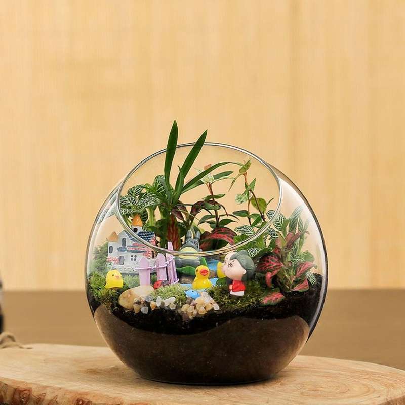 Elegant Clear Borosilicate Glass Ball Vase