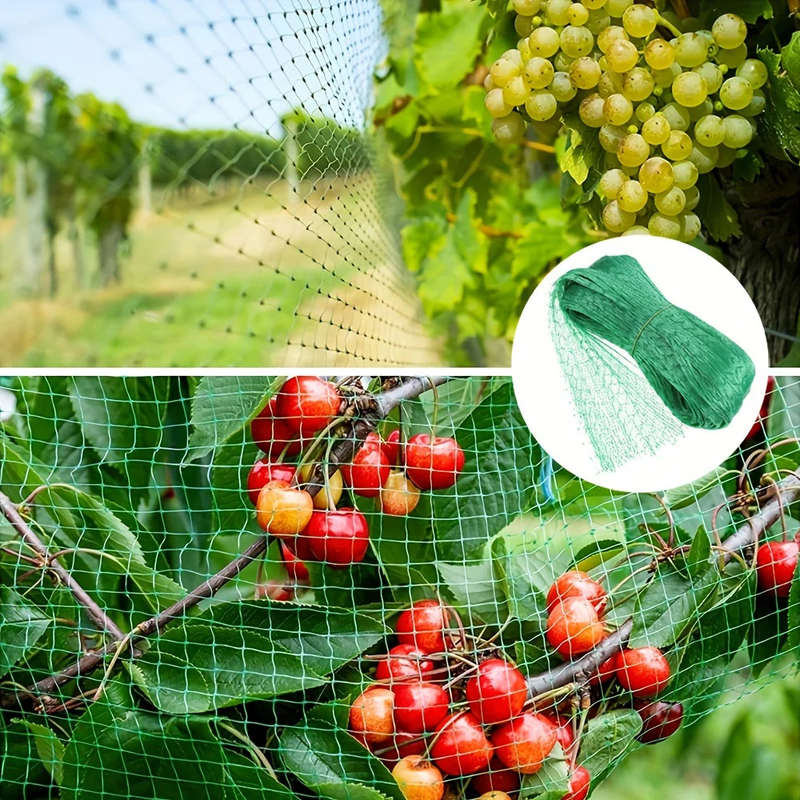 Garden Bird Net