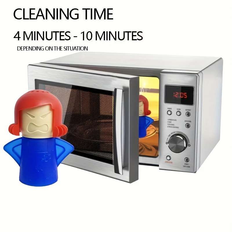 Steam Cleaner